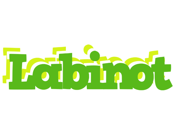 Labinot picnic logo