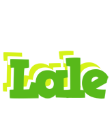 Lale picnic logo