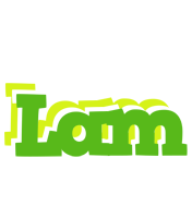 Lam picnic logo