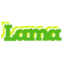 Lama picnic logo