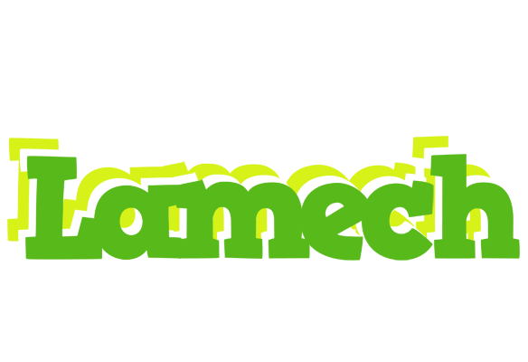 Lamech picnic logo