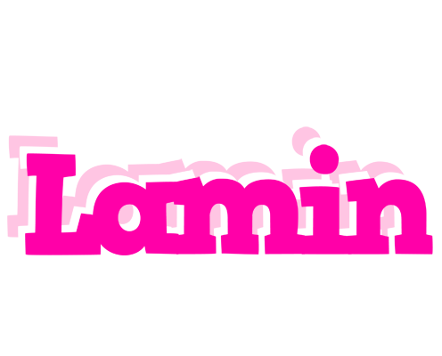 Lamin dancing logo