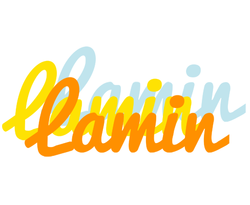 Lamin energy logo
