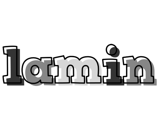Lamin night logo