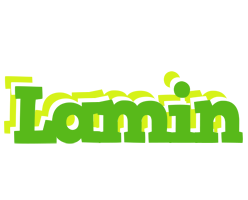 Lamin picnic logo