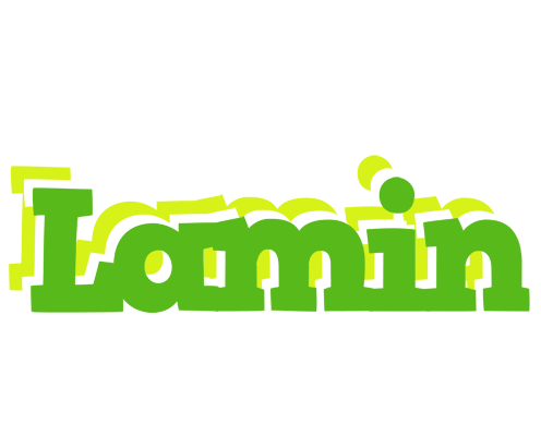 Lamin picnic logo