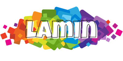 Lamin pixels logo