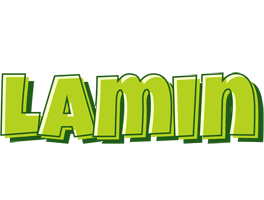 Lamin summer logo