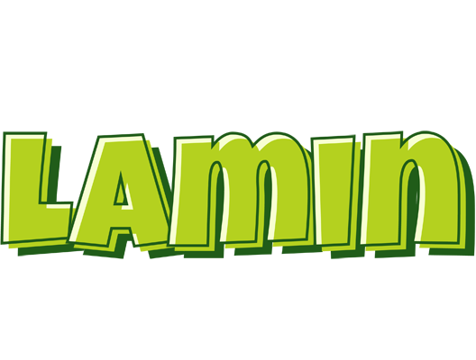 Lamin summer logo