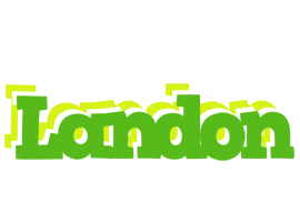 Landon picnic logo