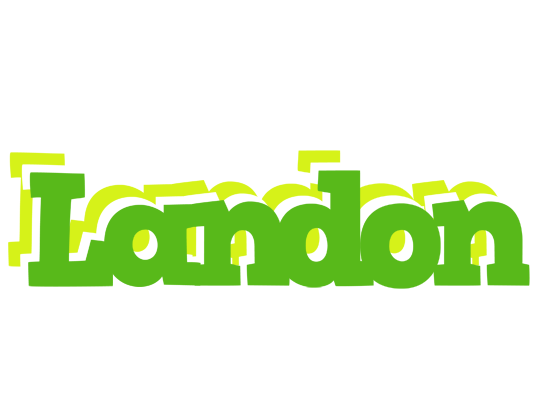 Landon picnic logo