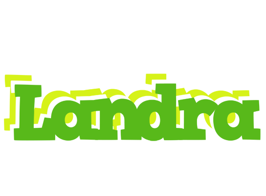 Landra picnic logo