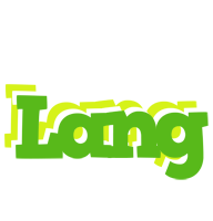 Lang picnic logo