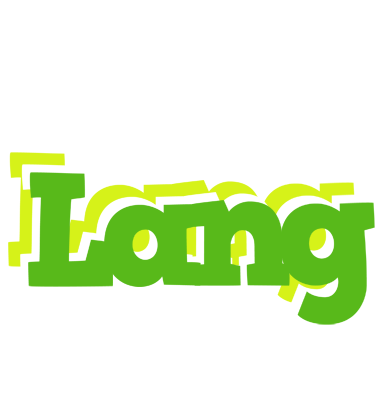 Lang picnic logo
