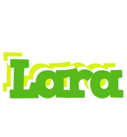 Lara picnic logo