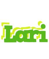 Lari picnic logo