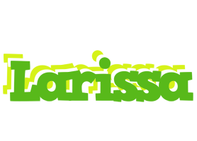 Larissa picnic logo