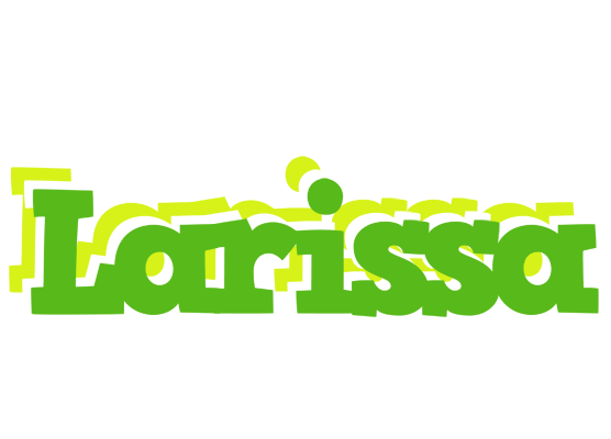 Larissa picnic logo