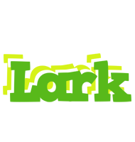Lark picnic logo