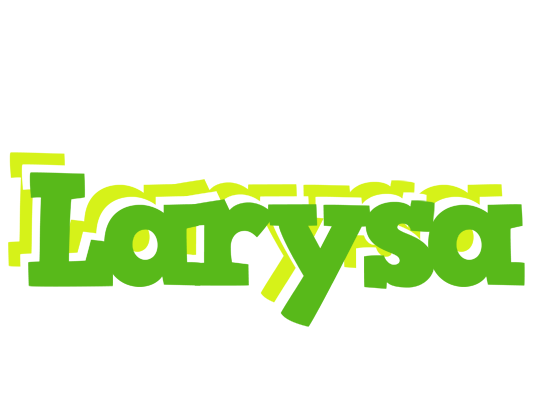 Larysa picnic logo