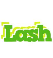Lash picnic logo