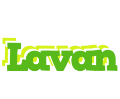 Lavan picnic logo