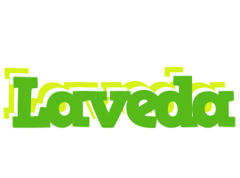 Laveda picnic logo