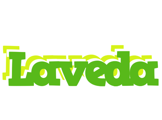 Laveda picnic logo