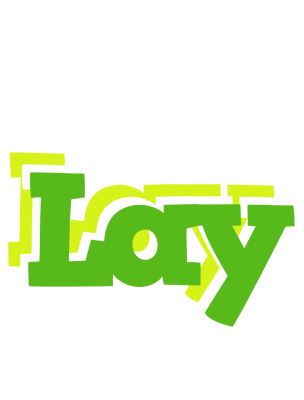 Lay picnic logo