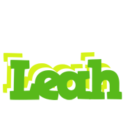 Leah picnic logo