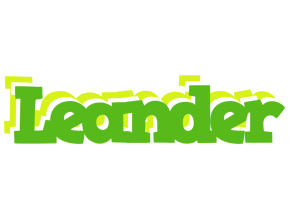 Leander picnic logo
