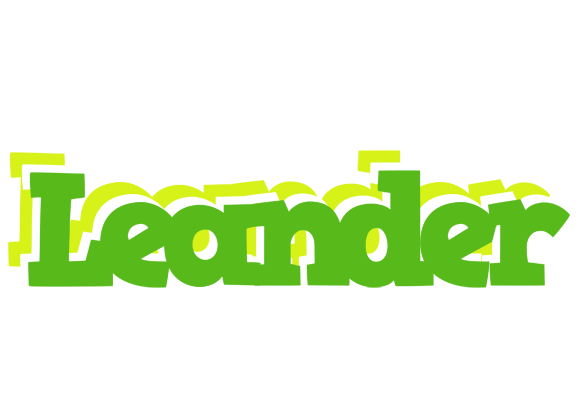 Leander picnic logo