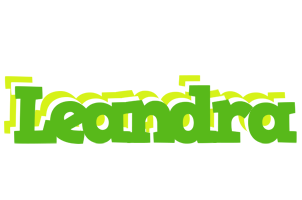 Leandra picnic logo