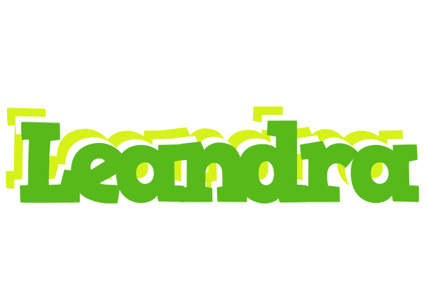 Leandra picnic logo