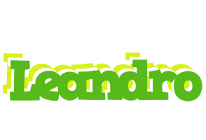 Leandro picnic logo