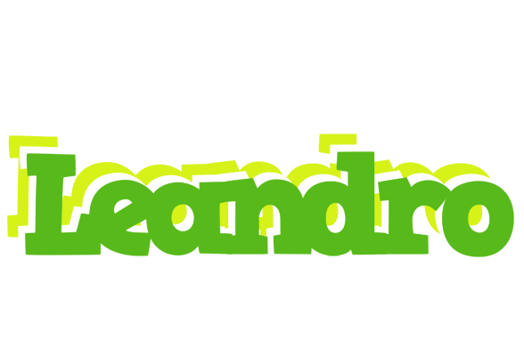 Leandro picnic logo
