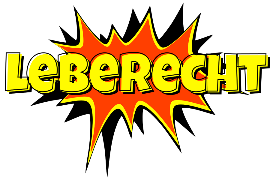 Leberecht bazinga logo
