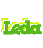 Leda picnic logo