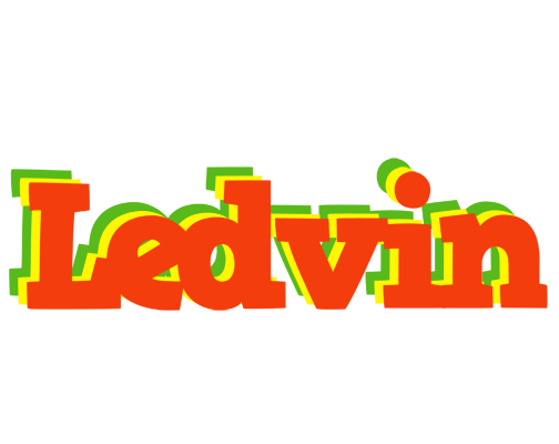 Ledvin bbq logo