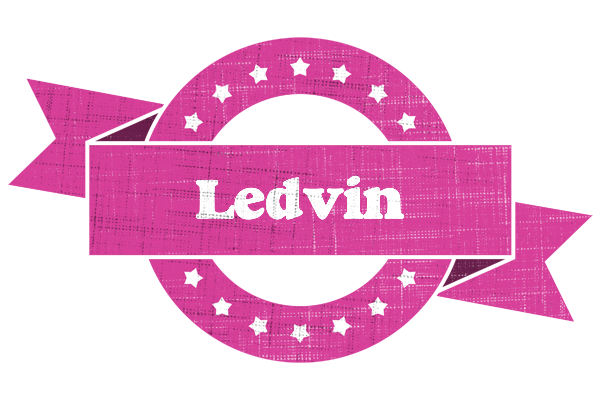 Ledvin beauty logo