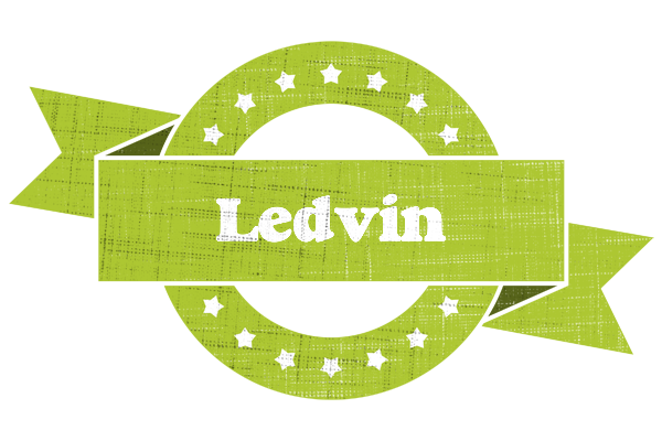 Ledvin change logo