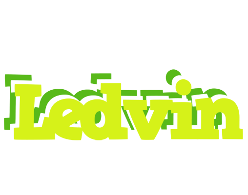 Ledvin citrus logo