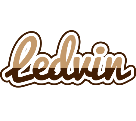 Ledvin exclusive logo