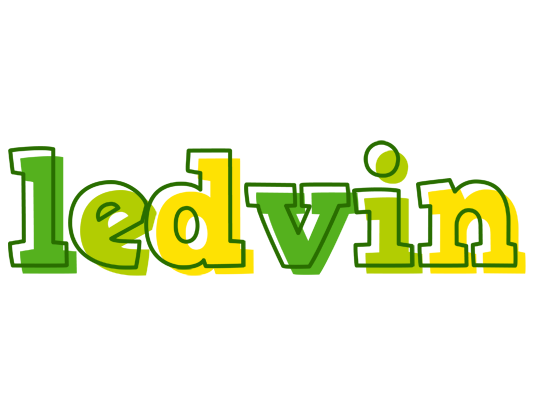 Ledvin juice logo