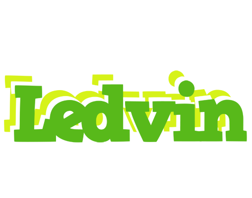 Ledvin picnic logo