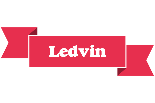Ledvin sale logo