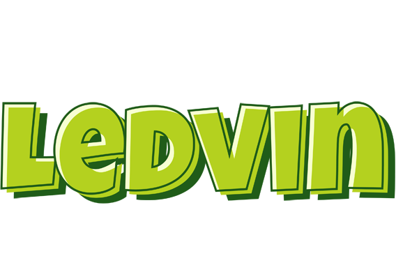 Ledvin summer logo