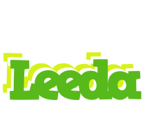 Leeda picnic logo