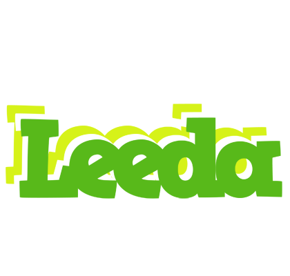 Leeda picnic logo