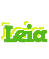 Leia picnic logo